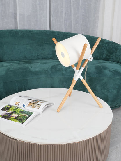 Adjustable Contemporary Desk Lamp