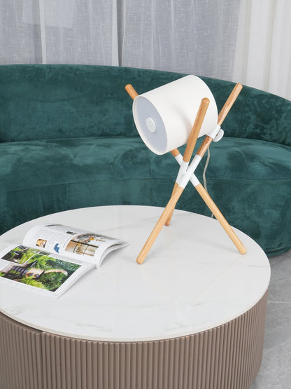 Adjustable Contemporary Desk Lamp