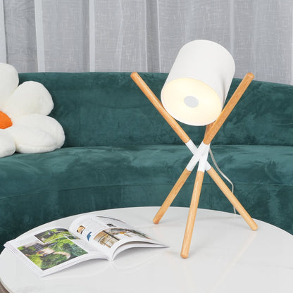 Adjustable Contemporary Desk Lamp