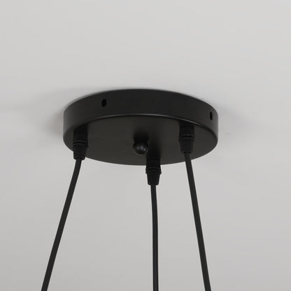 Unique Avian Pattern LED Ceiling Light Fixture