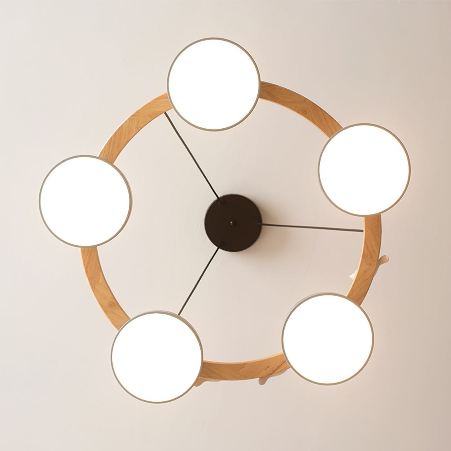 Unique Avian Pattern LED Ceiling Light Fixture
