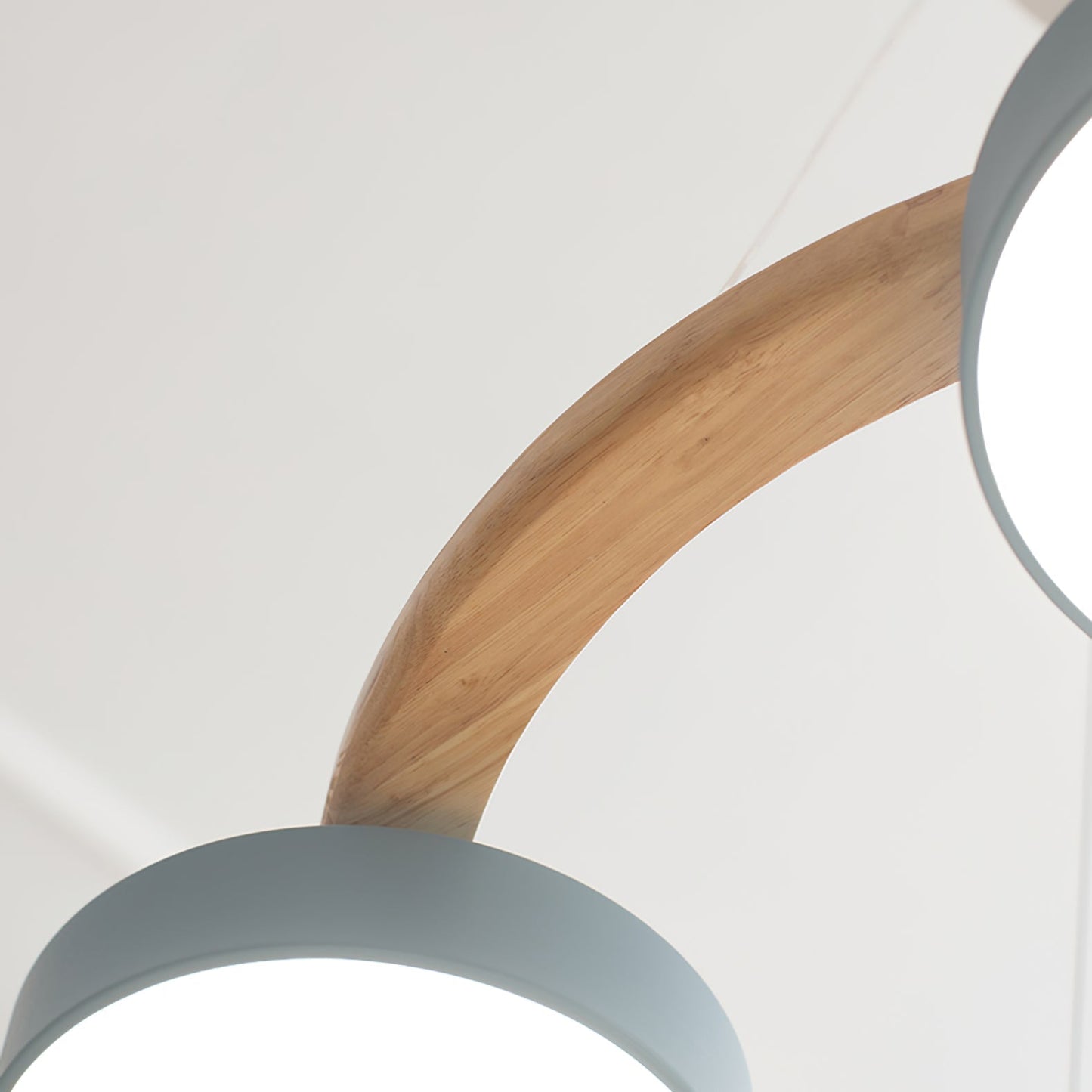 Unique Avian Pattern LED Ceiling Light Fixture