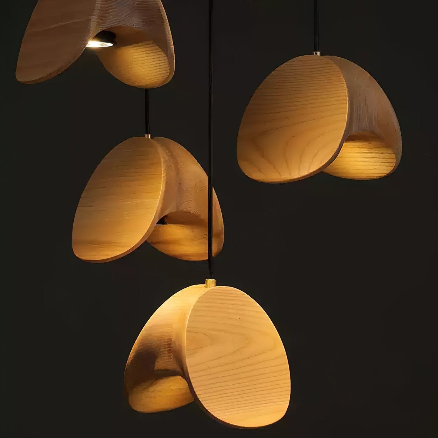 Elegant Home Lighting