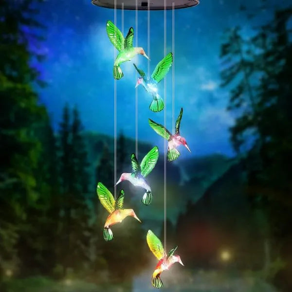 Outdoor Solar Powered Bird Lights