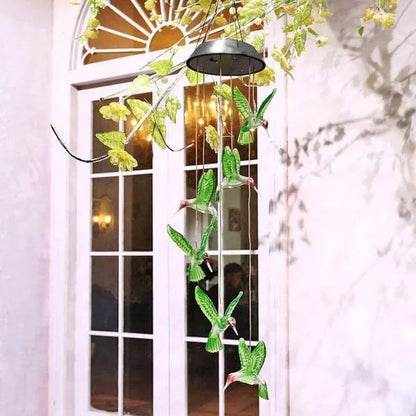 Outdoor Solar Powered Bird Lights