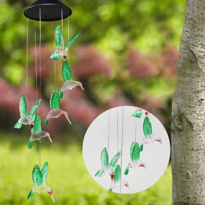 Outdoor Solar Powered Bird Lights