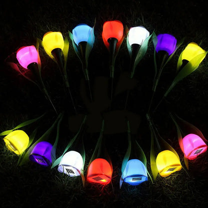 Colorful Outdoor Solar Garden Lights
