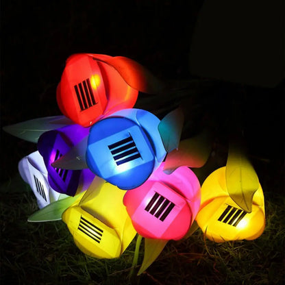 Colorful Outdoor Solar Garden Lights
