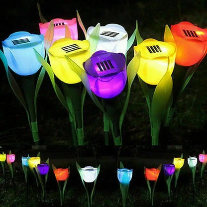 Colorful Outdoor Solar Garden Lights - Fesara