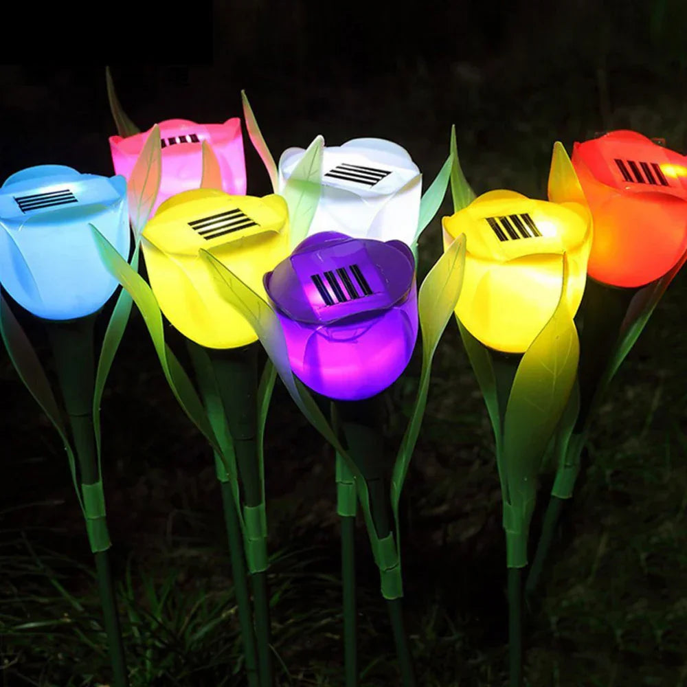 Colorful Outdoor Solar Garden Lights