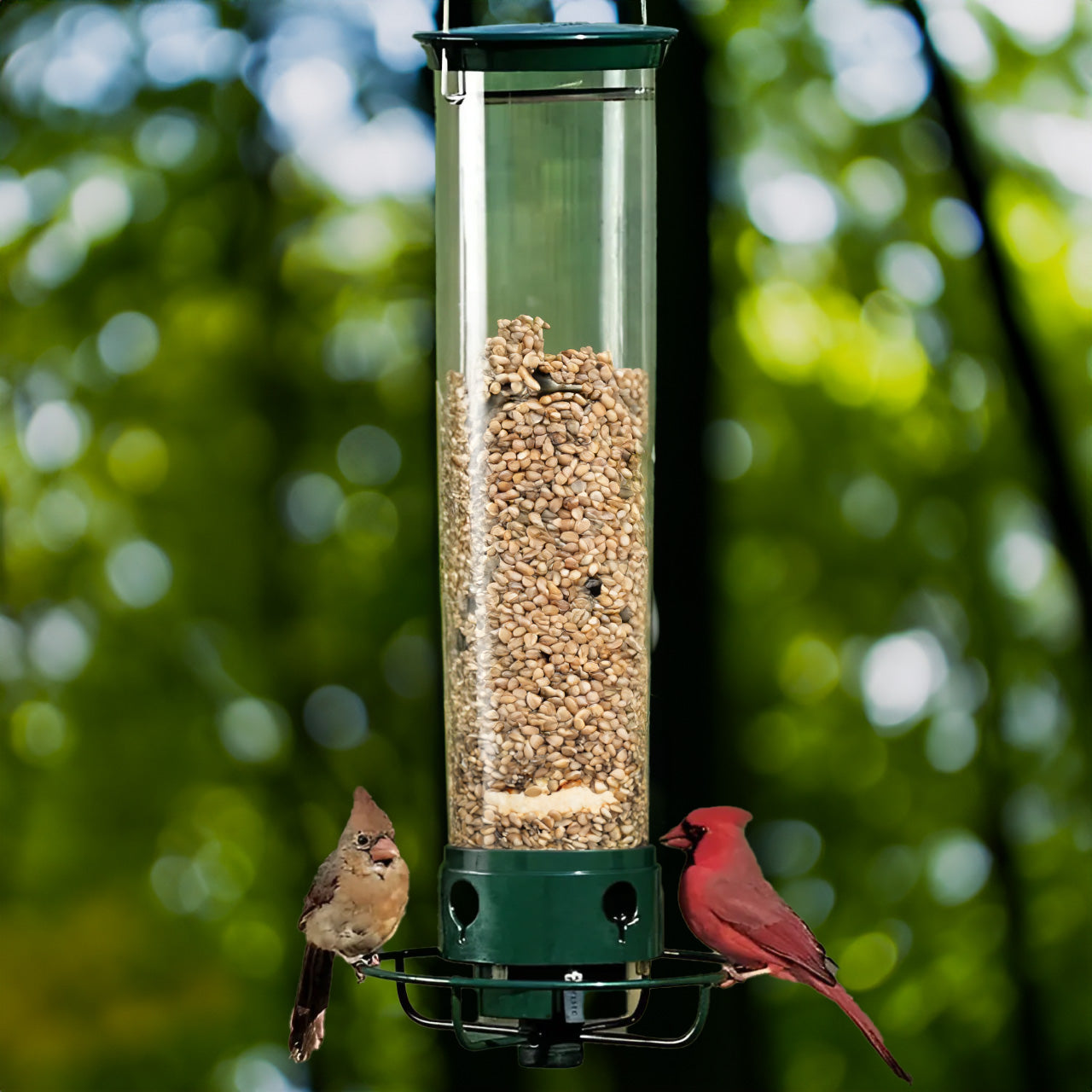 Wild Bird Feeder with Squirrel Proof Spin Tray - Fesara