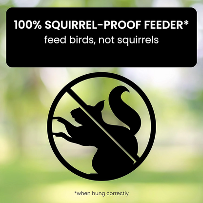 Wild Bird Feeder with Squirrel Proof Spin Tray