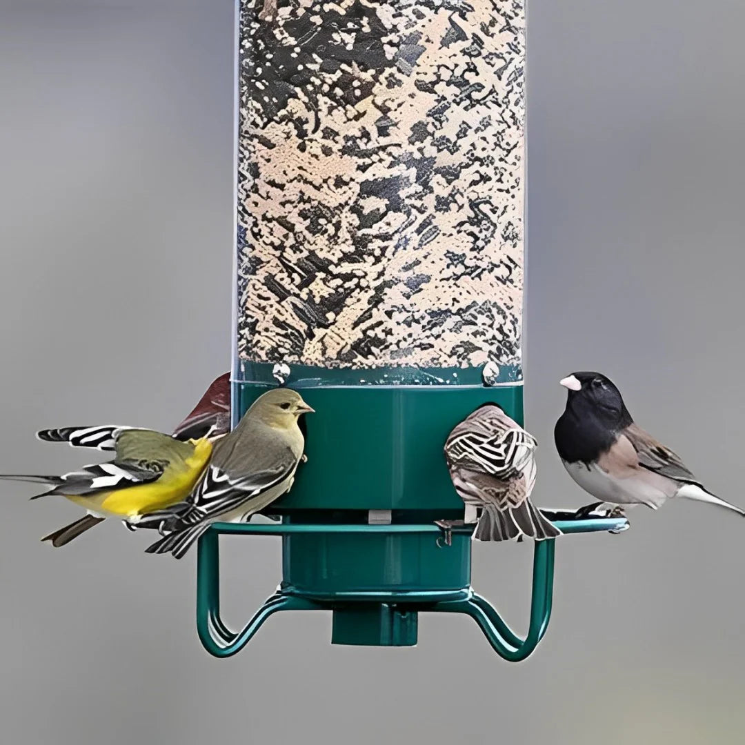 Wild Bird Feeder with Squirrel Proof Spin Tray