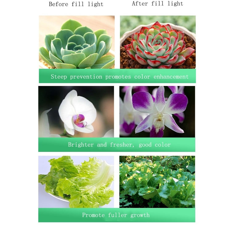 Fesara | 35w High Power 6inch LED Grow Lamp