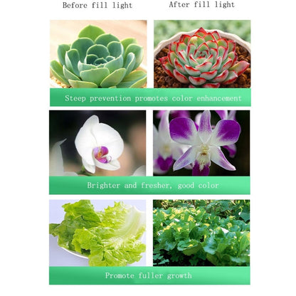 Fesara | 35w High Power 6inch LED Grow Lamp
