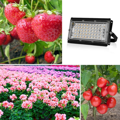 Powerful LED Indoor Grow Light Full Spectrum 200W Waterproof