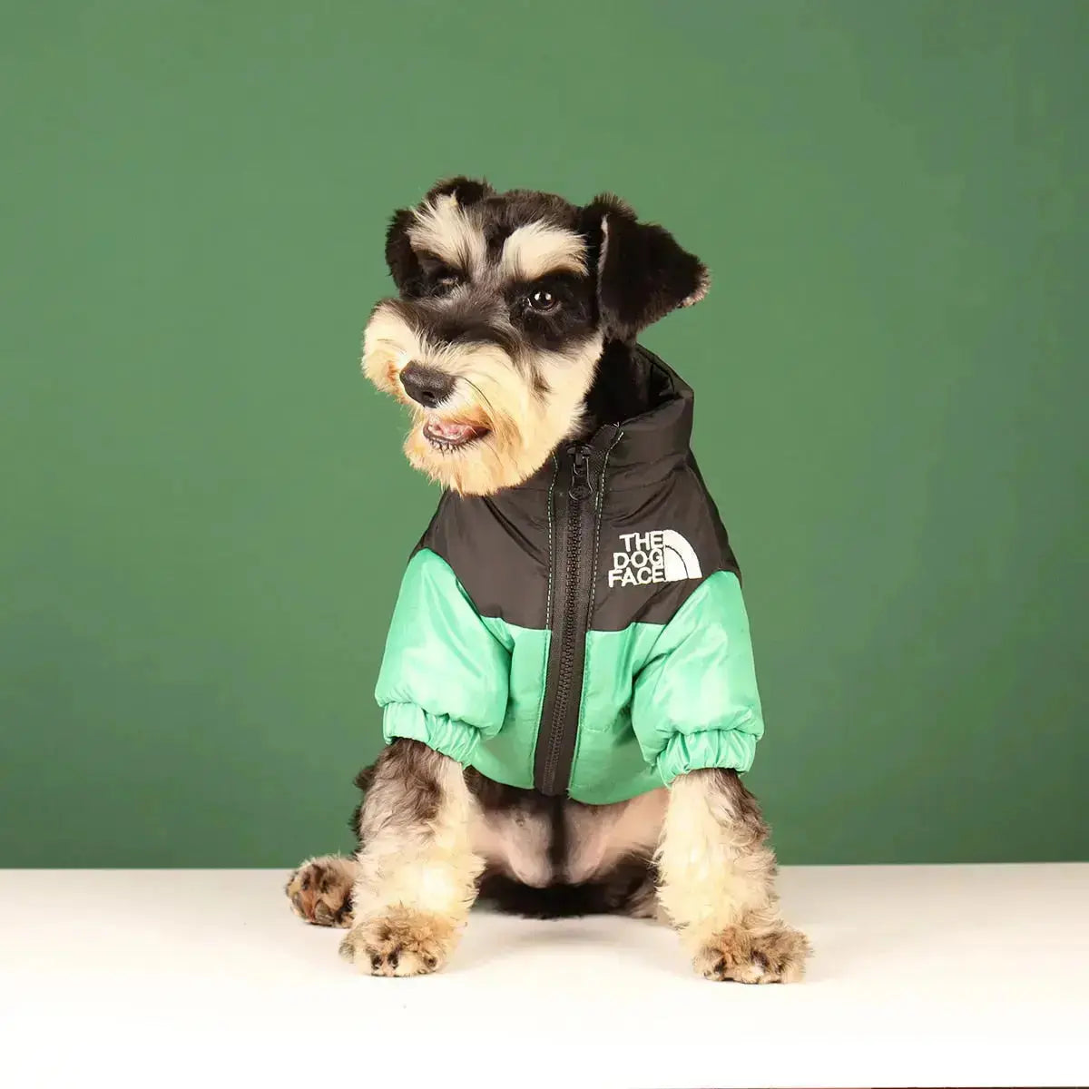 Funny Dog Face Windbreaker Jacket