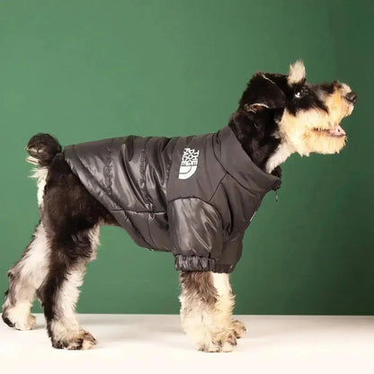 Funny Dog Face Windbreaker Jacket