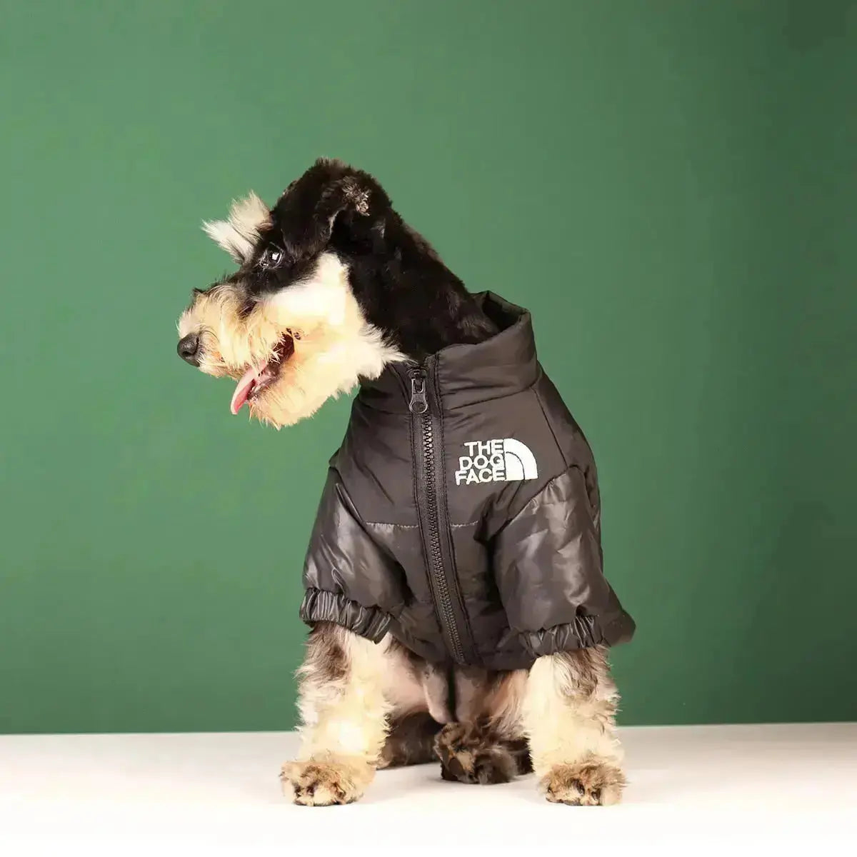 Funny Dog Face Windbreaker Jacket