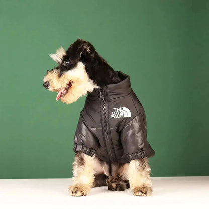 Funny Dog Face Windbreaker Jacket