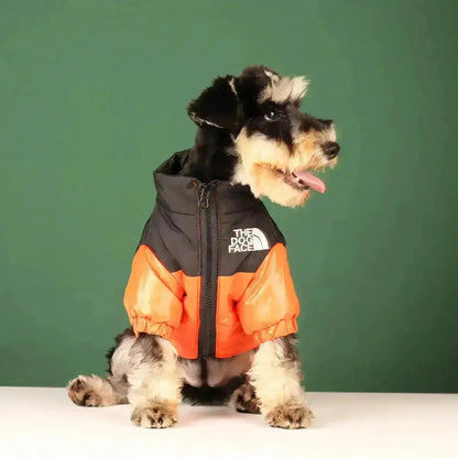 Funny Dog Face Windbreaker Jacket
