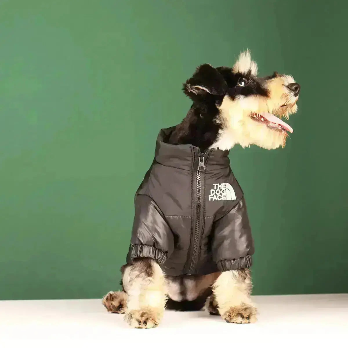 Funny Dog Face Windbreaker Jacket