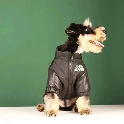 Funny Dog Face Windbreaker Jacket