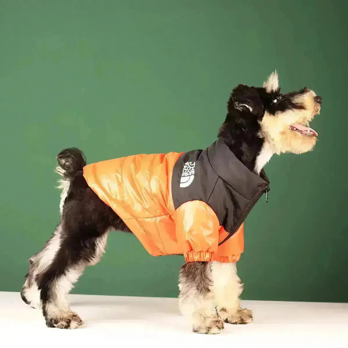 Funny Dog Face Windbreaker Jacket