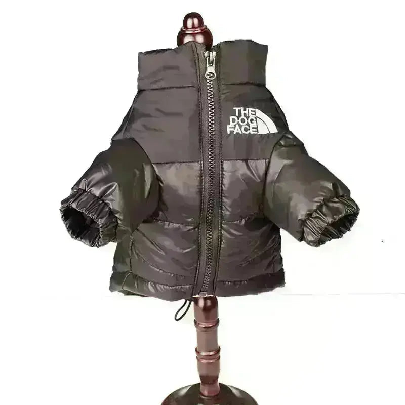Funny Dog Face Windbreaker Jacket