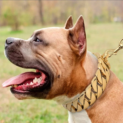 Strong Durable Metal Dog Collar for Big Dogs
