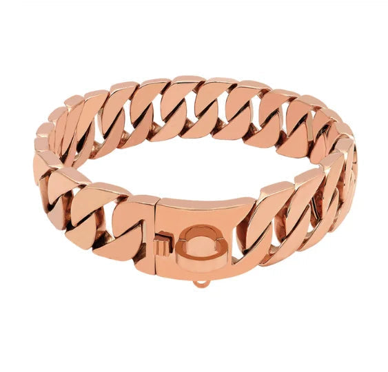 Strong Durable Metal Dog Collar for Big Dogs