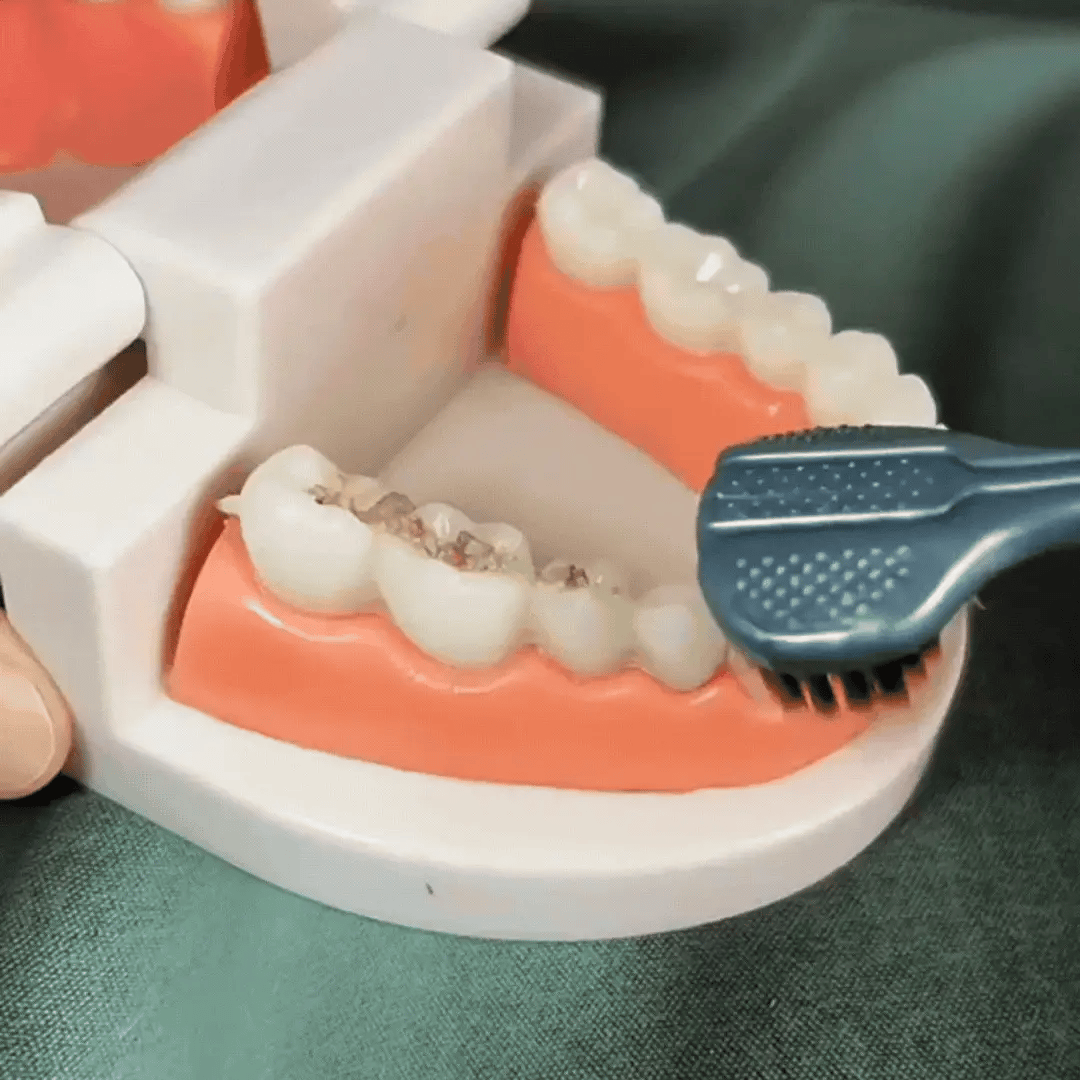 360 Degree Electric Toothbrush