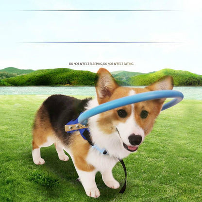 Supportive Puppy Walking Vest Blind Dog Assist Harness