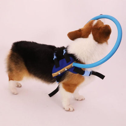 Supportive Puppy Walking Vest Blind Dog Assist Harness