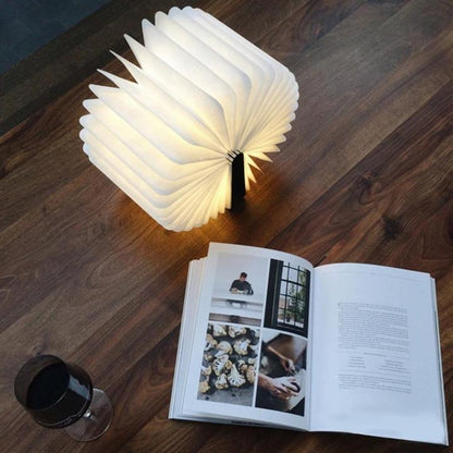 Fesara Compact Folding Book Light
