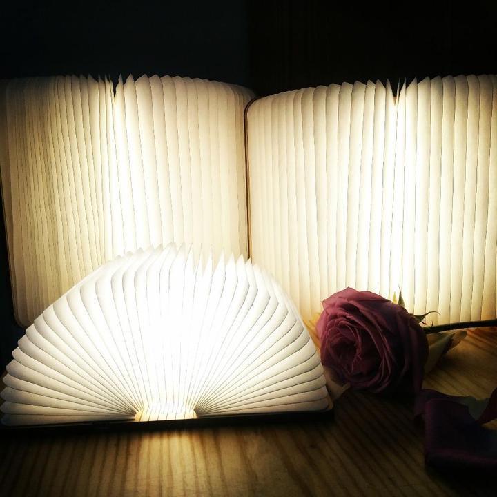Fesara Compact Folding Book Light