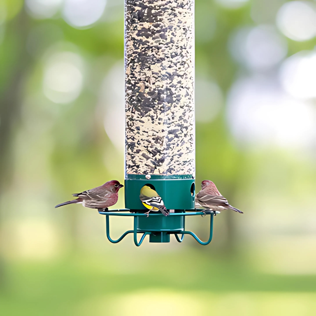 Wild Bird Feeder Hanging Squirrel Resistant Seed Feeder - Fesara