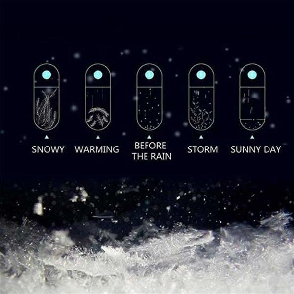 Classic Storm Glass Weather Predictor Desk Globe