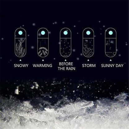 Classic Storm Glass Weather Predictor Desk Globe