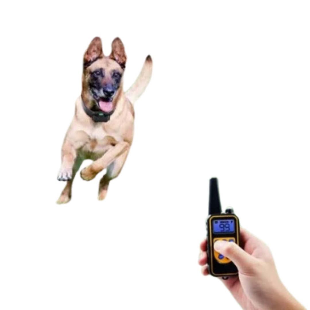 Waterproof Remote Dog Training Collar - Long Range Shock Collar