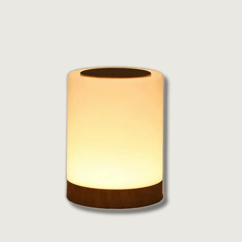 Compact LED Table Lamp with Touch Control - Fesara