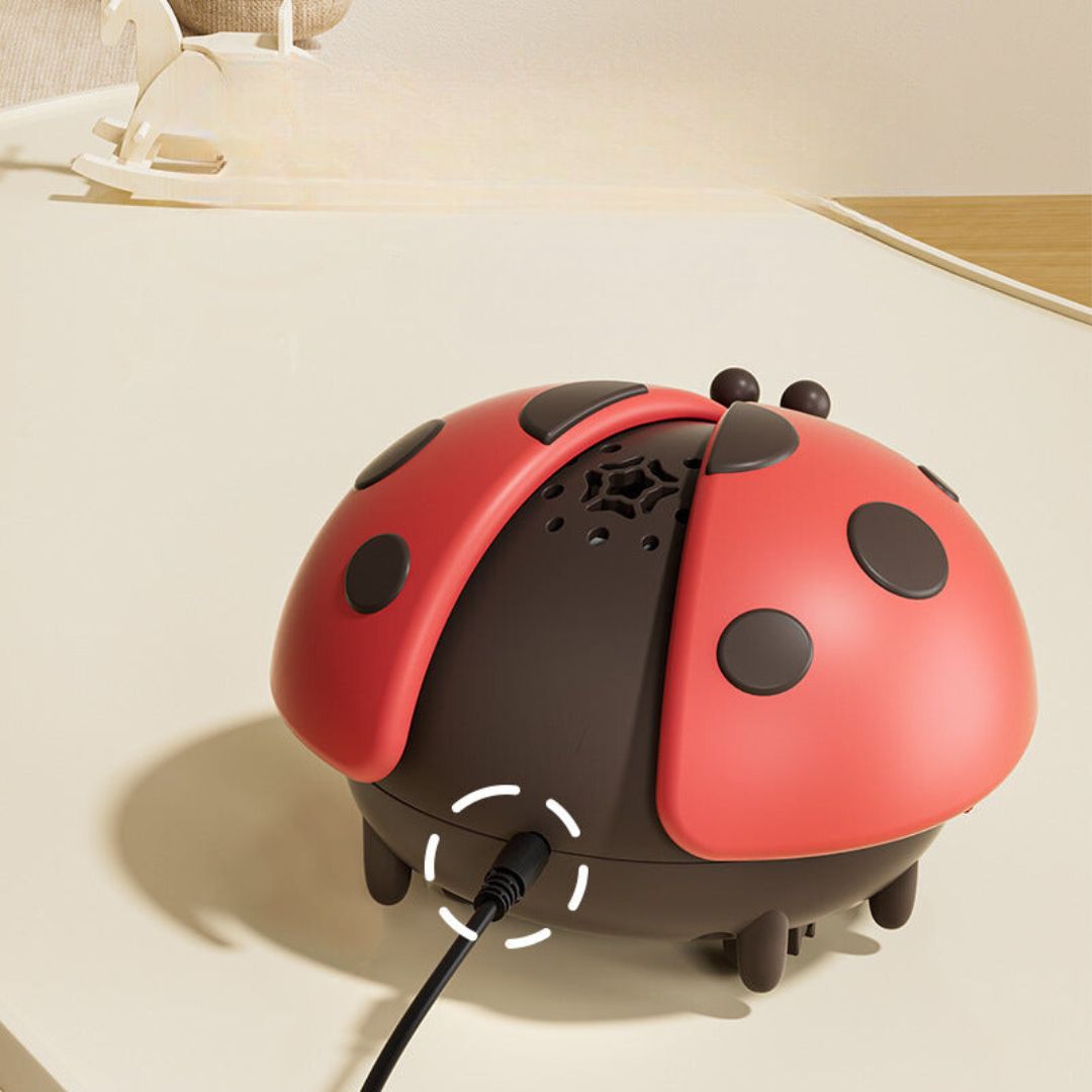 Colorful Baby Ladybug Balloon Toy