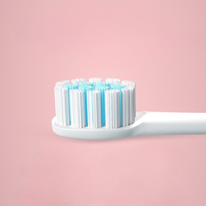Electric Toothbrush with Replaceable Heads