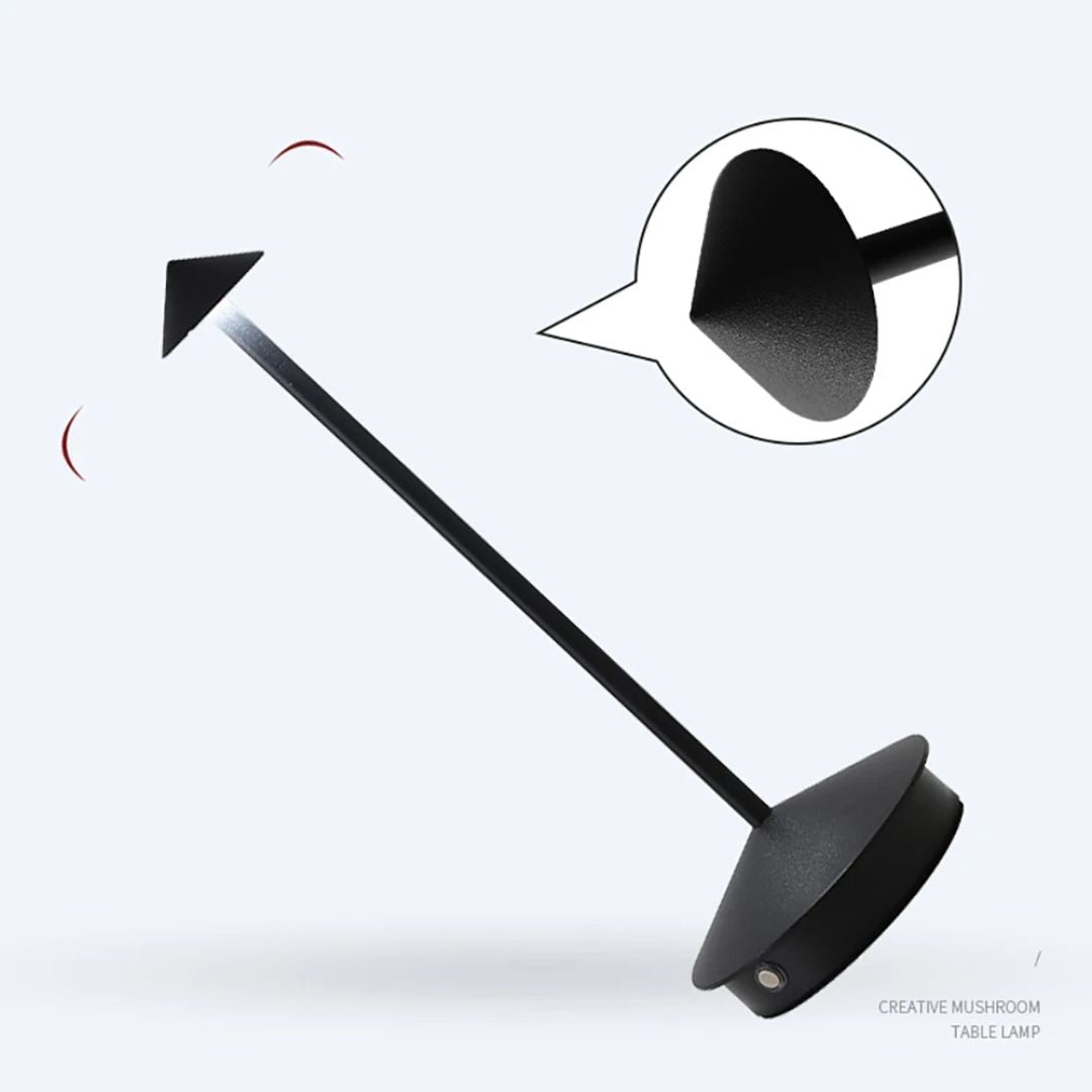 Modern Robyn LED Desk Light