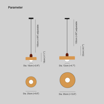 Stylish Globe LED Pendant Light