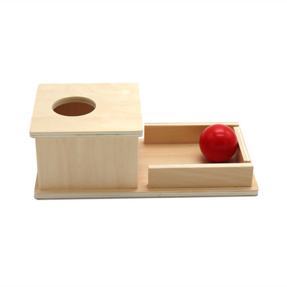 Natural Wood Toy Box with Balls for Kids