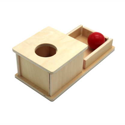 Natural Wood Toy Box with Balls for Kids
