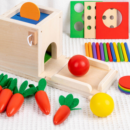 Wooden Educational Playset 5 in 1 Kids Learning Toy