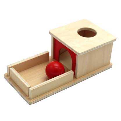 Natural Wood Toy Box with Balls for Kids