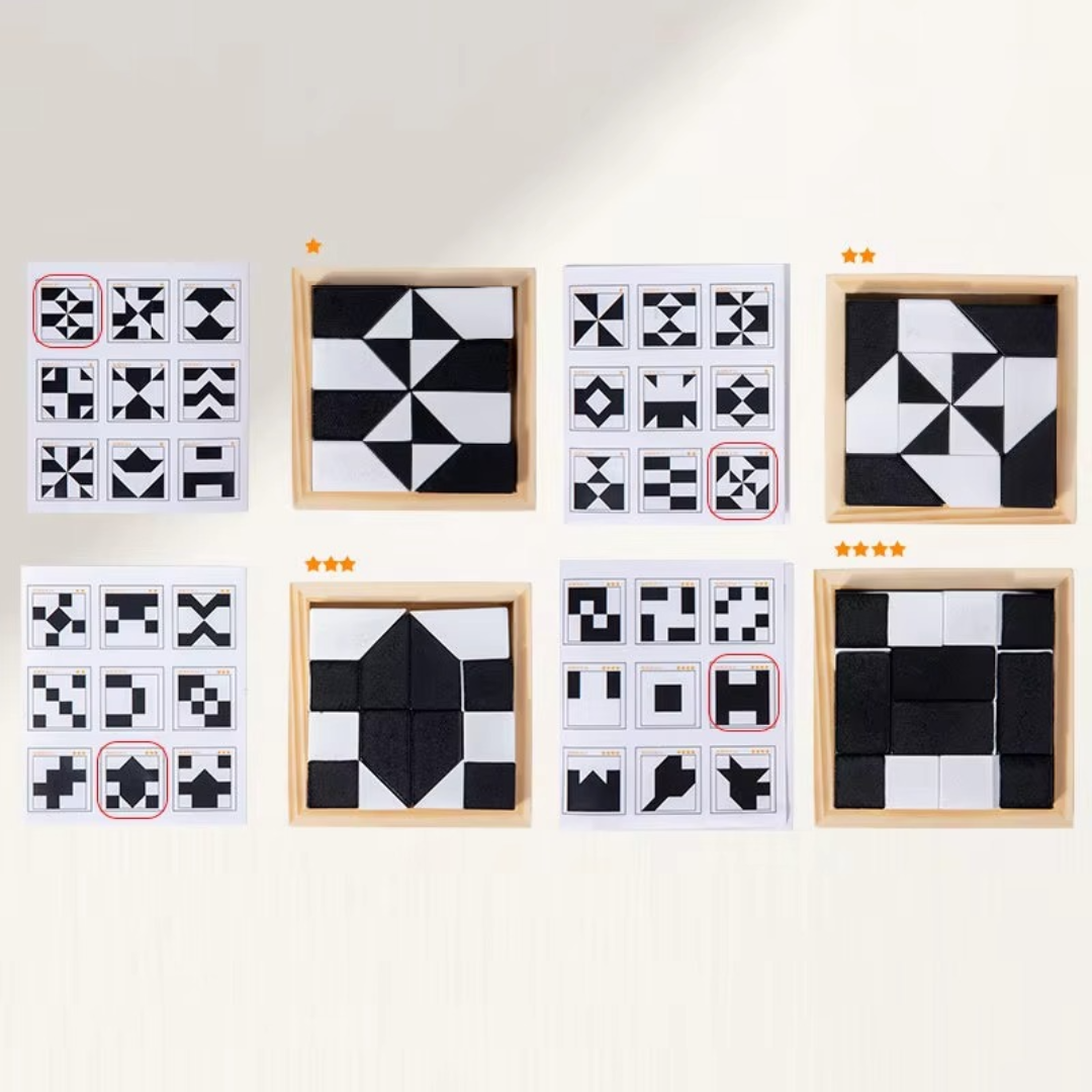 Portable 2-in-1 Brain Teaser Puzzle Game